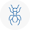Ant Removals In Clacton On Sea