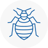 Bed Bug Extermination In Clacton On Sea