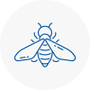 Bee Nest Removal Clacton On Sea