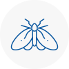 Moth Control Specialists In Clacton On Sea